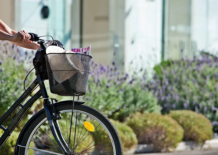 灯塔酒店 酒店 卡斯凯什